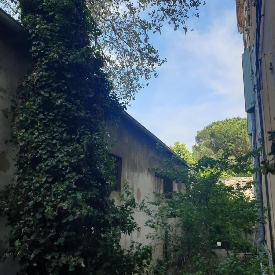 Appartement Intra Muros 8 Personnes Climatise Wifi Stationnement Facile Avignon Exterior photo